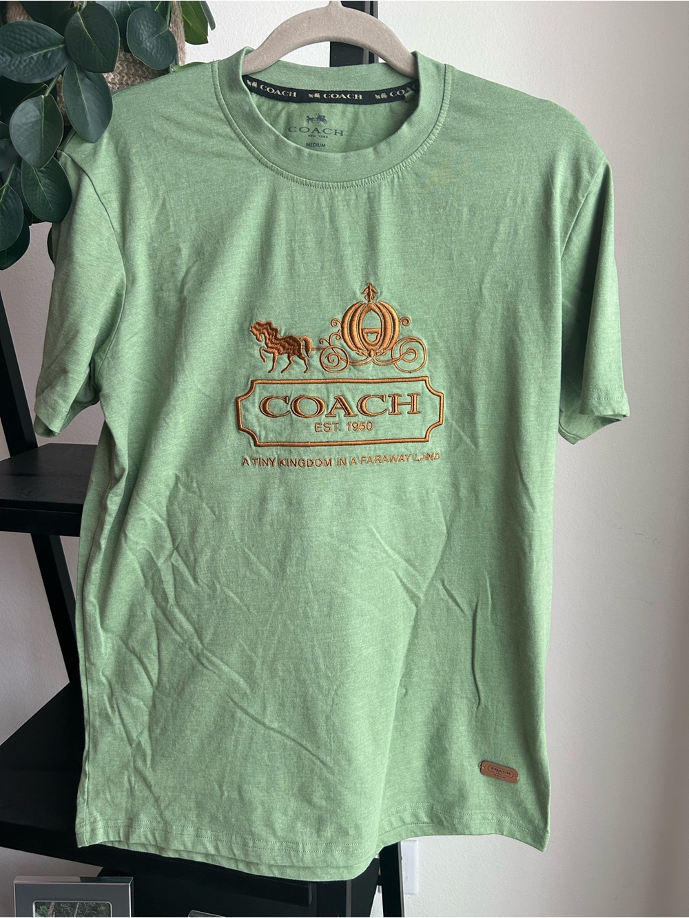 Coach Cinderella Collab Tshirt size Medium. Extremely rare!
